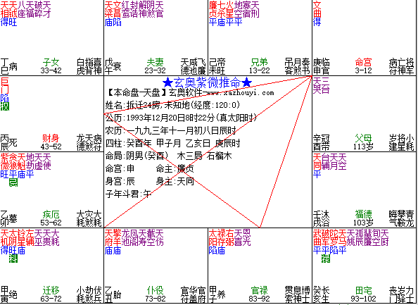 庚子公开课-紫府日月与紫微斗数的人生宏观决策（上篇）