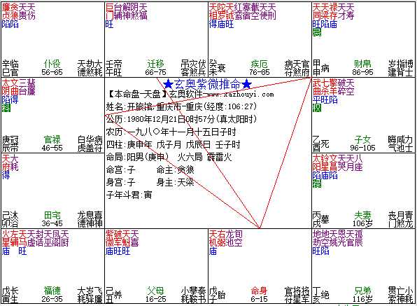 庚子公开课-紫府日月与紫微斗数的人生宏观决策（上篇）